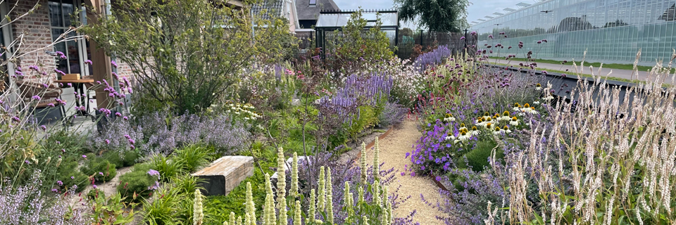 Met degelijk materiaal en vakmanschap,
uw tuin perfect gemaakt!