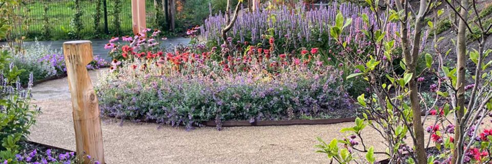 Een groene park-uitstraling